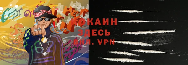 гидра Абаза