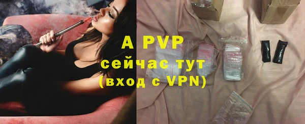 гидра Абаза