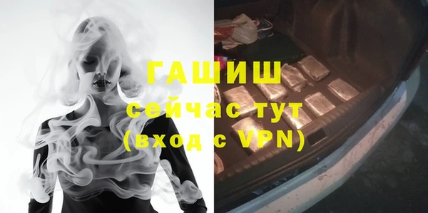гидра Абаза