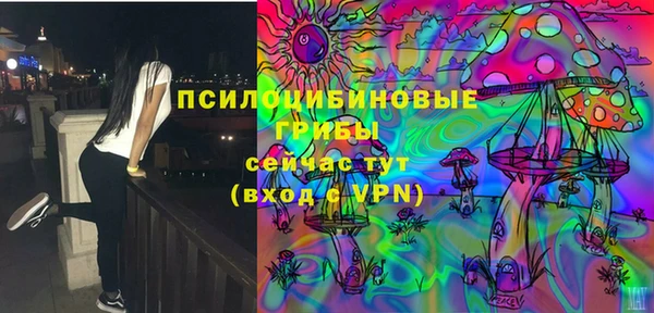 мяу мяу мука Абдулино