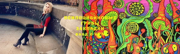 мяу мяу мука Абдулино