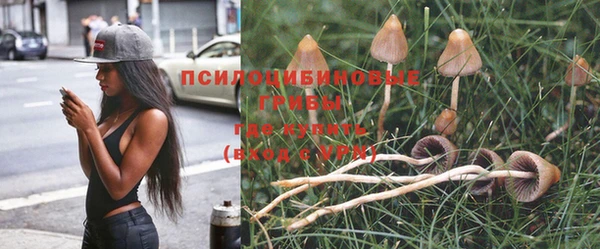 твердый Абинск