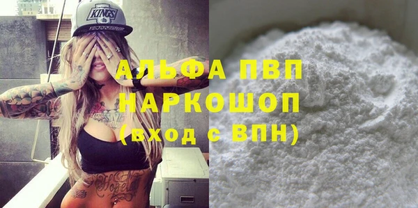 гидра Абаза