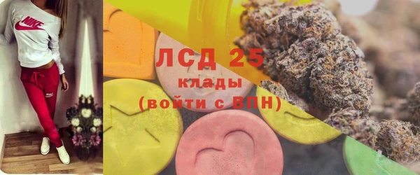 ешки Алексин