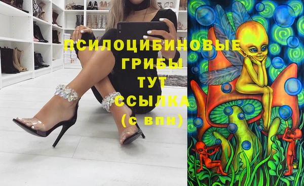 гидра Абаза