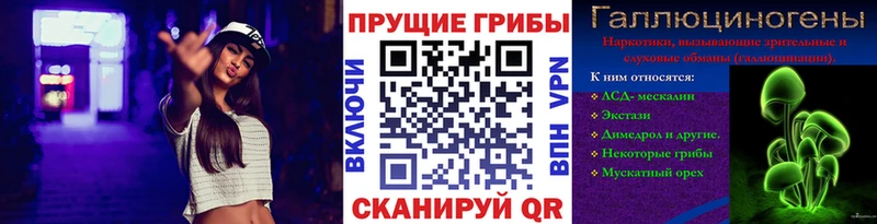 что такое наркотик KRAKEN рабочий сайт Галлюциногенные грибы Psilocybe Агрыз